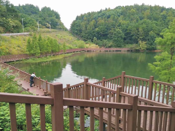 湖南水府庙国家湿地公园塑木栈道工程
